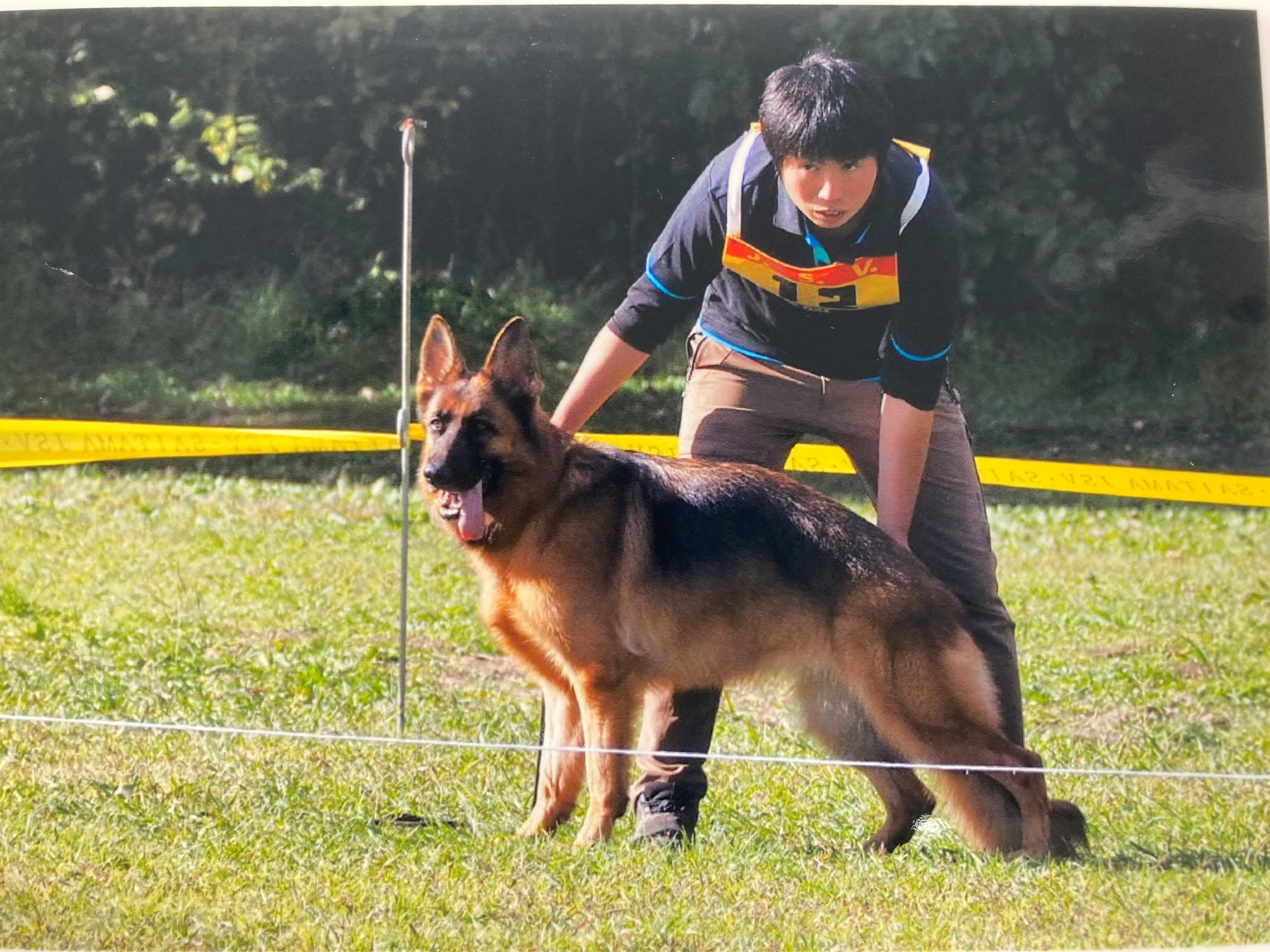 ジャスミン 受賞 - たかくら動物病院｜埼玉県入間市